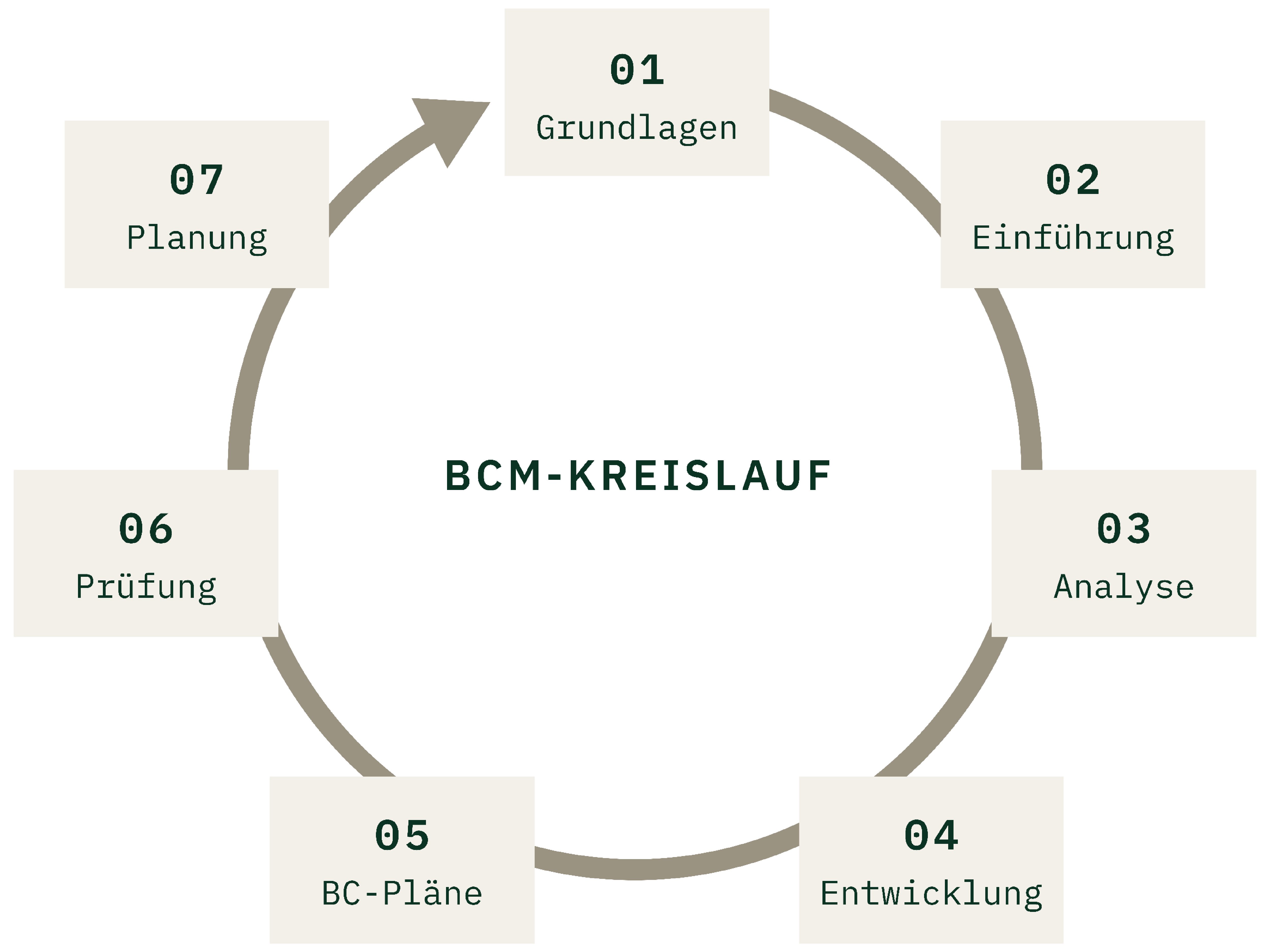 STRIPEMIND Grafik BCM-Kreislauf
